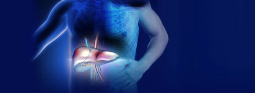 Medical illustration highlighting liver health — Hepatalgina hepatoprotector